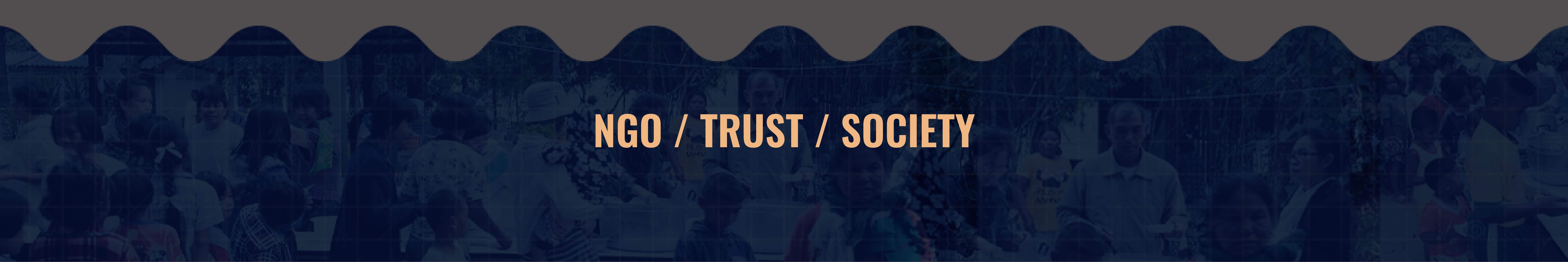 NGO / Trust / Society